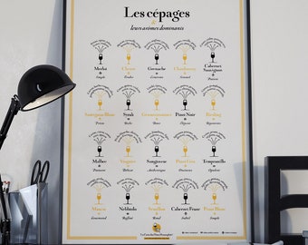 Les Cépages et leurs Arômes Dominants | Idée déco pour amateur de vin