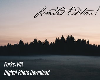 Sunset in Forks PNW Landscape Photography Digital Download Dekor Fotografie Kunstwerk