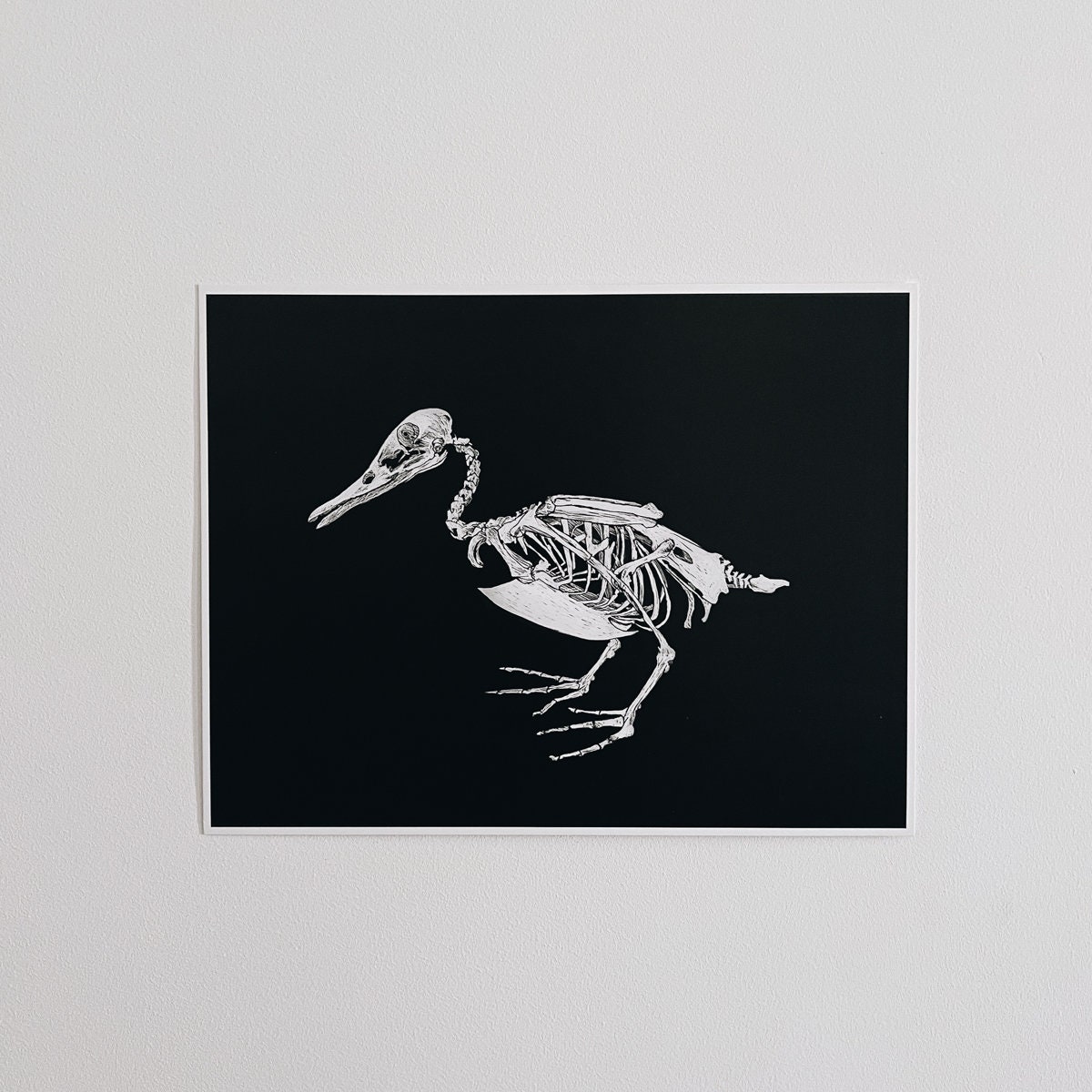 PLEASE READ DESCRIPTION Duck Skeleton Scratchboard Art Print Gothic
