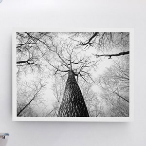 Árbol minimalista, imprimible en blanco y negro, decoración de pared, descarga digital