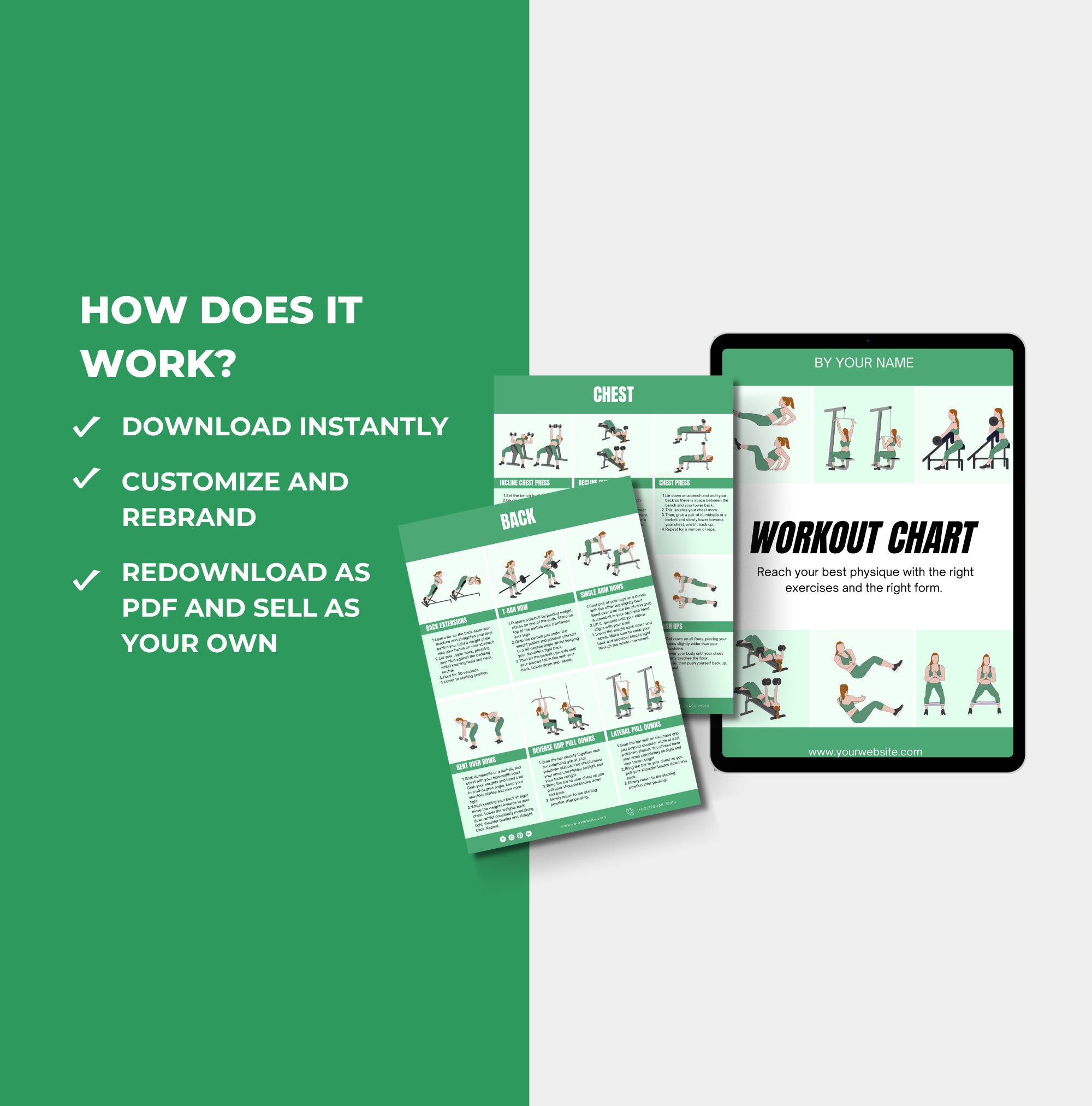 Workout Chart, Exercise Chart With Exercise Illustrations and Step-by ...