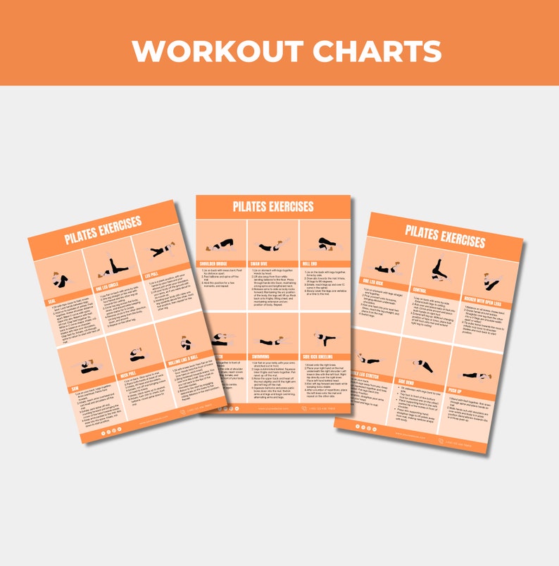 Pilates Workout Chart, Exercise Chart, PLR Digital Products, Canva eBook Template, Done For You Editable Template For Your Coaching Business