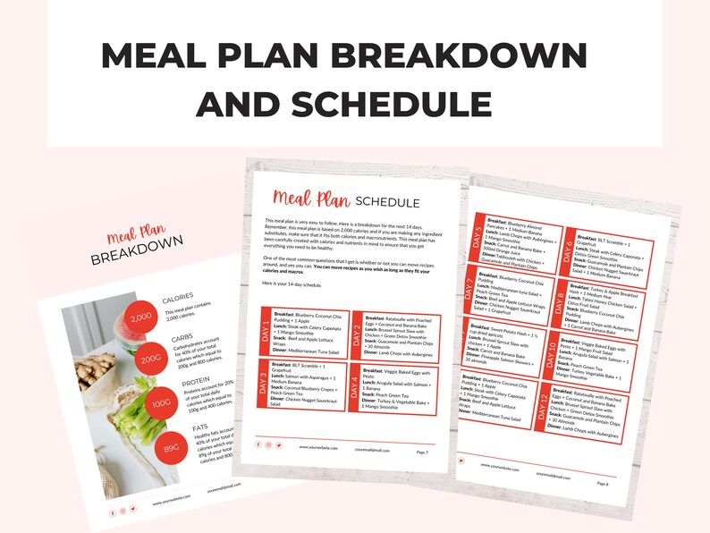 14-day-paleo-meal-plan-template-with-healthy-and-delicious-recipes