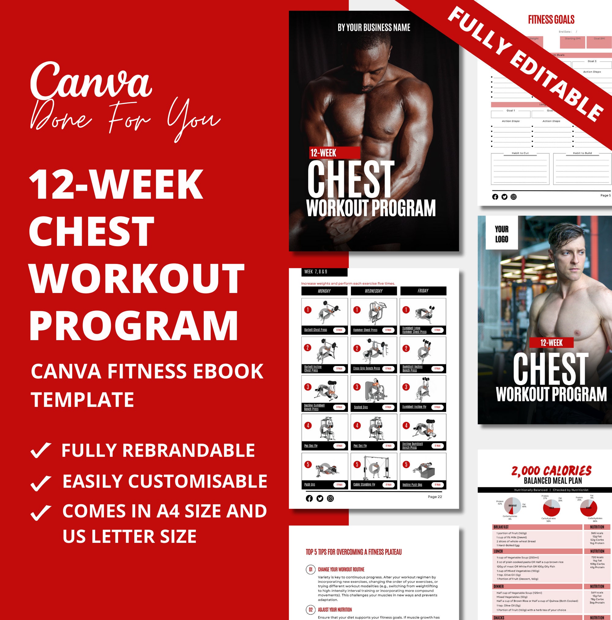 12 week Chest Workout Program Fitness Program Templates Ebook Canva Template Ebook Fitness Editable Template Coaching Template PLR Etsy Israel