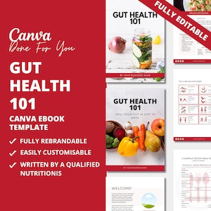 Gut Health 101, Canva eBook Template, PLR Digital Products, Done For You Editable Template For Your Coaching Business, PLR Products, DFY