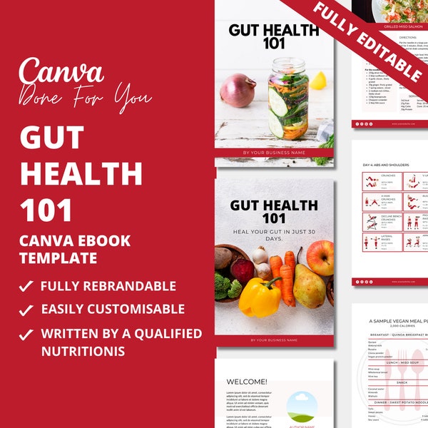 Gut Health 101 guide, nutrition template, eBook template, health coach content, DFY coaching template, Customizable lead magnet