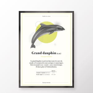 Bottlenose dolphin - illustration digital download