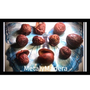 Scatole artigianali per intaglio in pietra di avocado. Intaglio dell'avocado. Ecologico, bio e riciclato. Spirito della foresta, Dio del sole, Fiori venati, Libellula