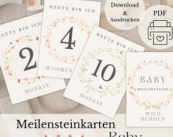 Baby Monthly Cards Wildflower PDF – Printable Milestone Cards for Baby's First Year Gift