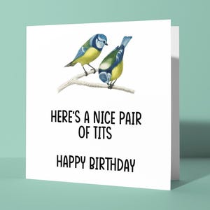May include: A white birthday card with the text "HERE'S A NICE PAIR OF TITS HAPPY BIRTHDAY". The card features a watercolor illustration of two blue tits perched on a branch. The birds have yellow and blue plumage.