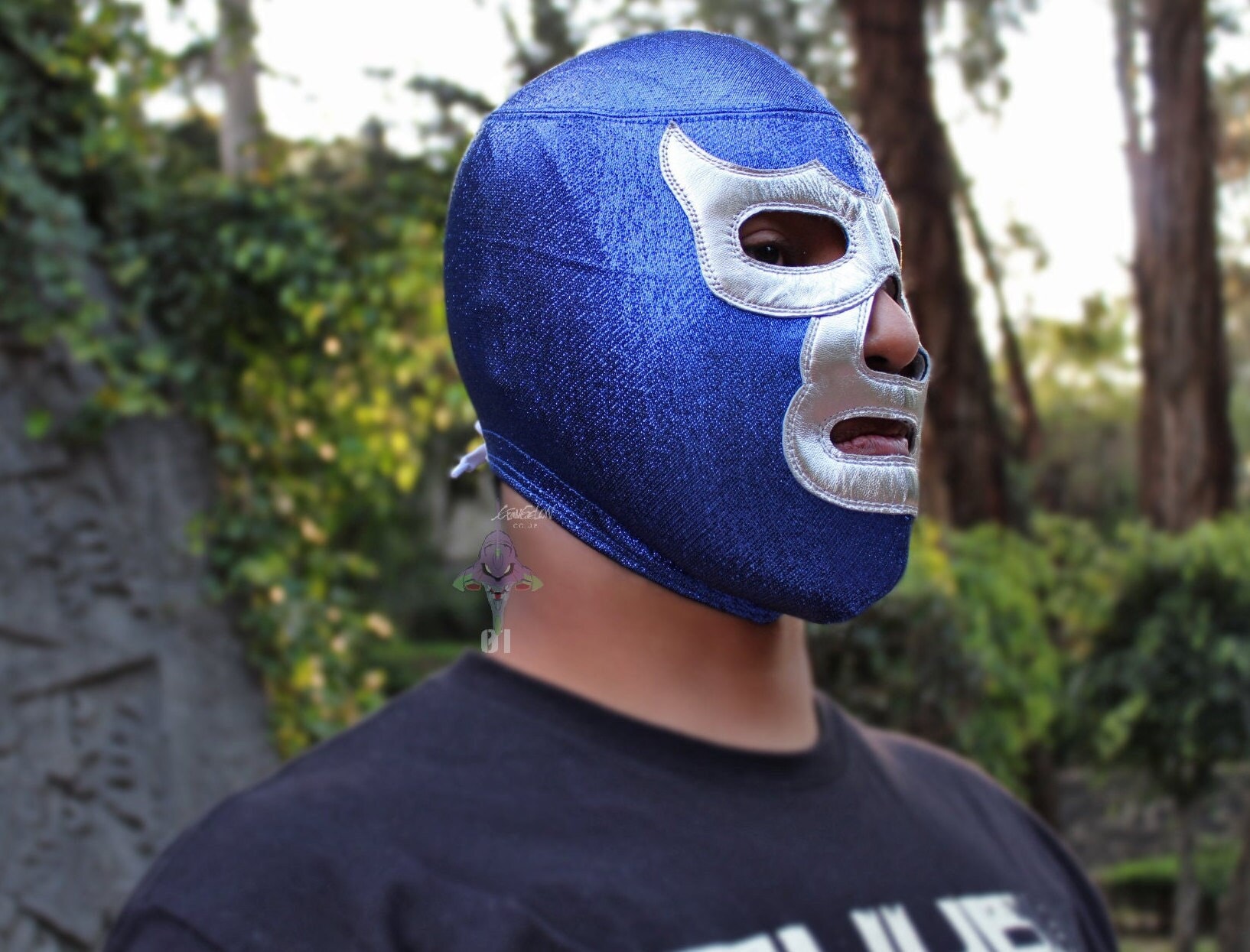 Будет ли маска в воскресенье. Маска мексиканского рестлера. Реслинг синяя маска. Мексиканская борьба в масках. Мексиканский реслинг в масках.