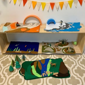 Earths Five Biomes play mat set. Dessert, tundra, grasslands, aquatic, forrest play mats