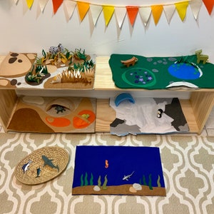 Earths Five Biomes play mat set. Dessert, tundra, grasslands, aquatic, forrest play and education mats