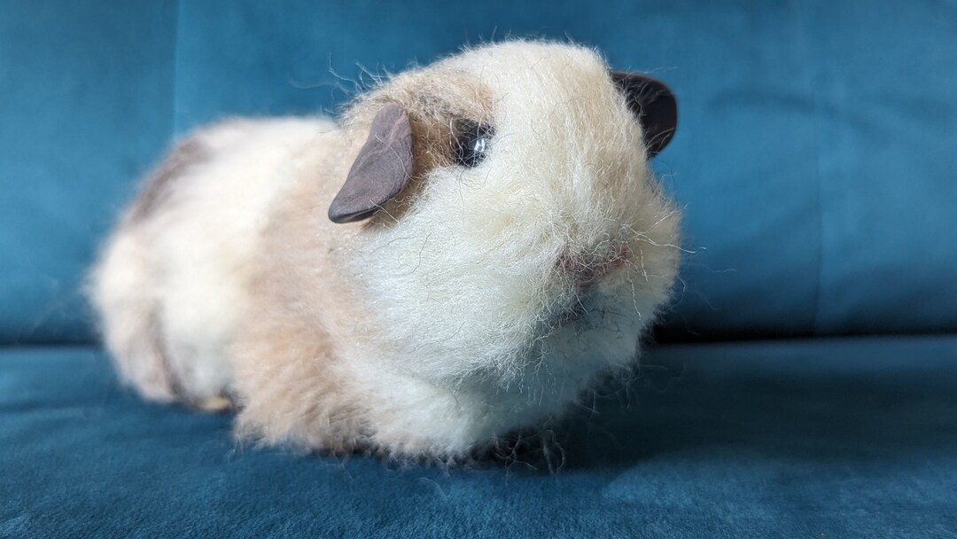 Needle Felted Guinea Pig Etsy