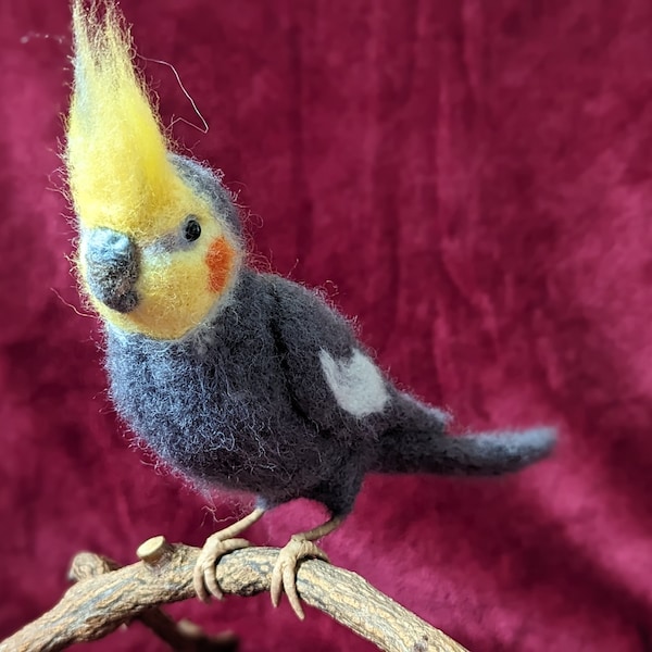 Needle felted grey cockatiel