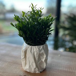 Vaso da fiori "carta stropicciata" - ottica | Fioriera | Impermeabile | Vaso per piante | Fioriera