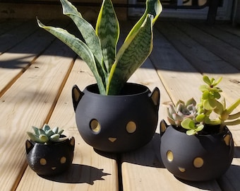 Cat Planter, Indoor Catnip Planter