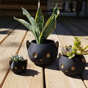 Kitty Cat Planter, Kitten Planter, El regalo perfecto para ese amante de los gatos en tu vida, Cat nip, Indoor planter, pet lover, Animal lover