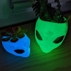 May include: Two alien head-shaped planters, one green and one blue, with a plant in each. The planters are glowing in the dark.