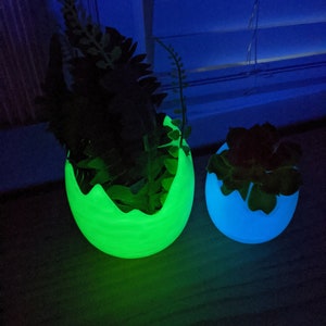 May include: Two glowing planters, one green and one blue, each holding greenery. The egg-shaped planters emit a soft glow, creating a striking contrast against the dark background. The plants add a natural element to the modern design.