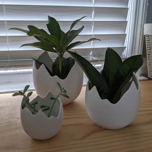 Dinosaur Egg-Inspired Planter-Unearth the Jurassic in Your Garden/ modern planter/Easter / succulents/indoor house plants/ Baby Shower