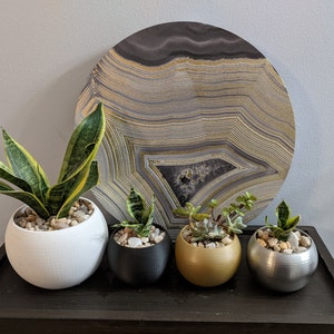 Modern and Minimalistic Sphere Planter - Contemporary Elegance for Your Green Sanctuary / indoor house plants / succulents / snake plant