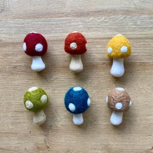 May include: Six felt mushroom ornaments with white polka dots. The mushrooms are in various colours, including red, orange, yellow, green, blue, and brown.