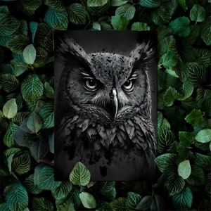 Owls Postcards Set di 10 - per gli amici della rappresentazione artistica degli animali del bosco - anche come biglietto di auguri speciale
