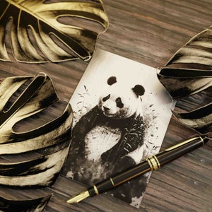 Pandas Motif Biglietti di auguri / Cartolina per occasioni speciali Set di 10