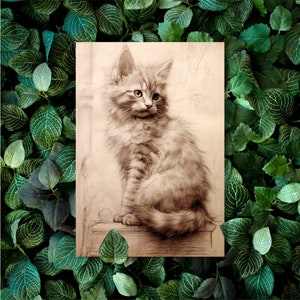 Un set di 10 cartoline con un adorabile motivo a gattino in stile illustrazione: il biglietto perfetto per gli amanti delle immagini dei gattini