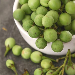 35 Grüne Thai Erbsen-Auberginen Samen - Heirloom Kraut - Gemüsesamen - verwendet in Thai grünem Curry