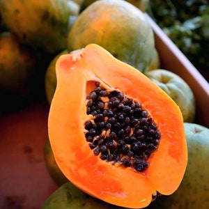 5 Sweet Organic Hawaiian Solo Sunrise Papaya seed
