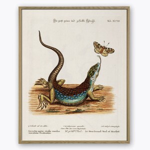 Lizard and Butterfly Print, Vintage Lizard, Home Decor, Wall Art Print