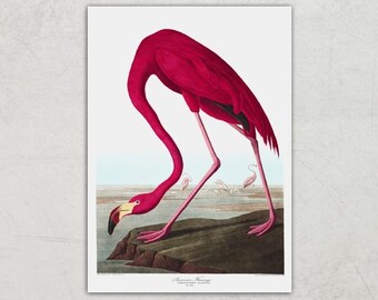 Flamingo art antique prints Bird art print Nature print art print poster French art print Victorian art Garden Wall Decor cottage art