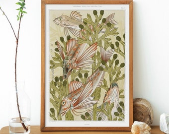 Fishes Print, Botanical and Fish Print, Wall Art Decor,Sea Animals Poster