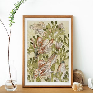 Fishes Print, Botanical and Fish Print, Wall Art Decor,Sea Animals Poster