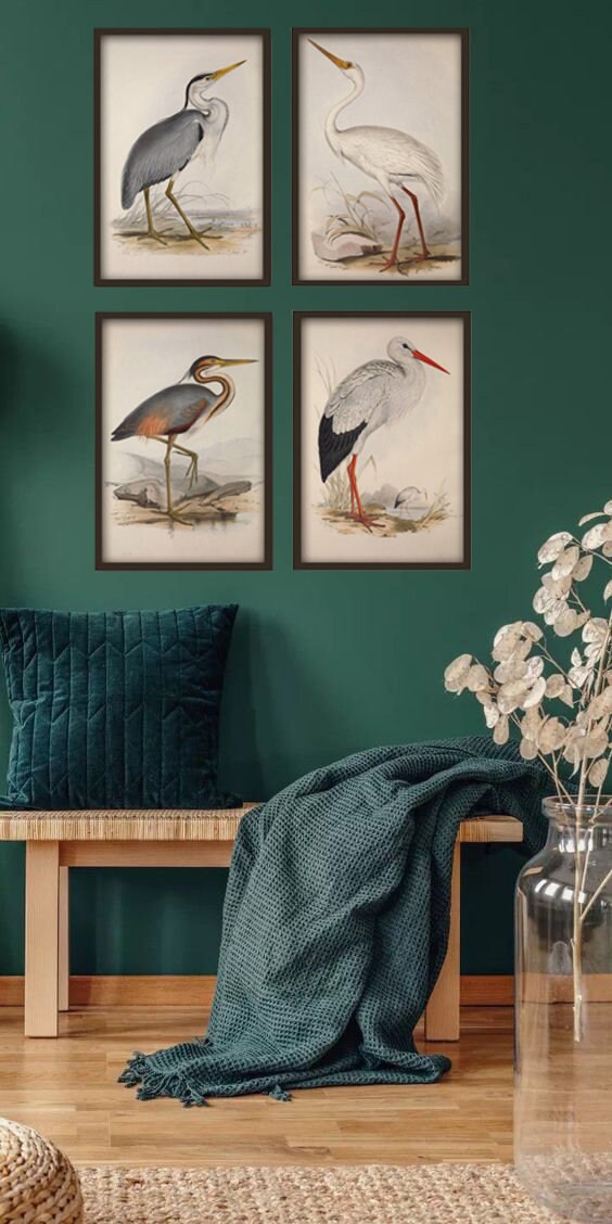 Coastal Birds Print, Bird Wall Decor, Crane Heron Stork, Set of 4 ...