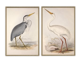 Conjunto de impressão de arte de pássaros, decoração de arte de parede, impressão de par de garças, impressão de ilustração antiga de garça e guindaste, arte de pássaros