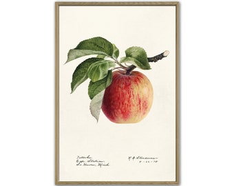Apfel Kunstdruck, Antik Obst Botanische Kunst, Apfel Küche Poster, Giclee, Kunst