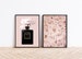 fashion wall art, chic perfume bottle print, rose flowers décor, set of 2, lounge pictures posters, dressing room beauty, blush light colour 