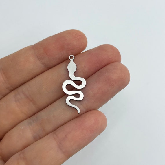 6pcs Stainless Steel Snake Charm, Tiny Snake Pendant, Earring Charms,  Animal Charms, Steel Jewelry Making Supplies, Steel Earring Charms 