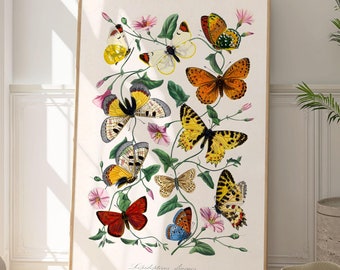 Botanischer Kunstdruck mit Schmetterlingen, elegante Natur-Wanddekoration, modernes Gartenposter, Insektenillustration als Geschenk