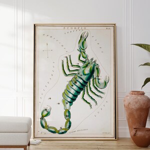 Skorpion Sternzeichen Sternzeichen Himmelskörper Druck, Astrologie Poster, Originale Geschenkidee, personalisierte Astrologie Wandkunst, Konstellations-Dekor
