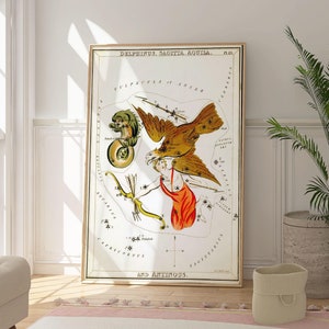 Aquila Delphinus, Sagitta und Antinous Sterndruck, Celestial Wandkunst Poster, Konstellationskunstwerk, Originales Astrologie Geschenk, Sternenkarte Dekor