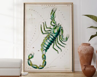 May include: A framed vintage print of the Scorpio constellation, featuring a detailed illustration of a scorpion in shades of green and white. The artwork is set against a cream background with celestial details and text.