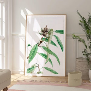 Japanese Maple Tree Art Print, Green Nature Inspired Poster, Botanical Wall Art, Floral Decor, Housewarming Gift, Minimalist Nature Art