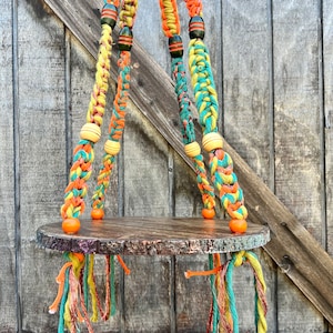 Boho Bark Edge Macrame Plant Hanger – Bright Orange Mustard Teal