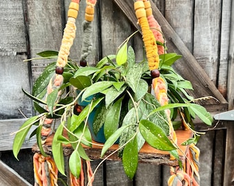 3 Sunflowers Bark Edged Hanger Shelf