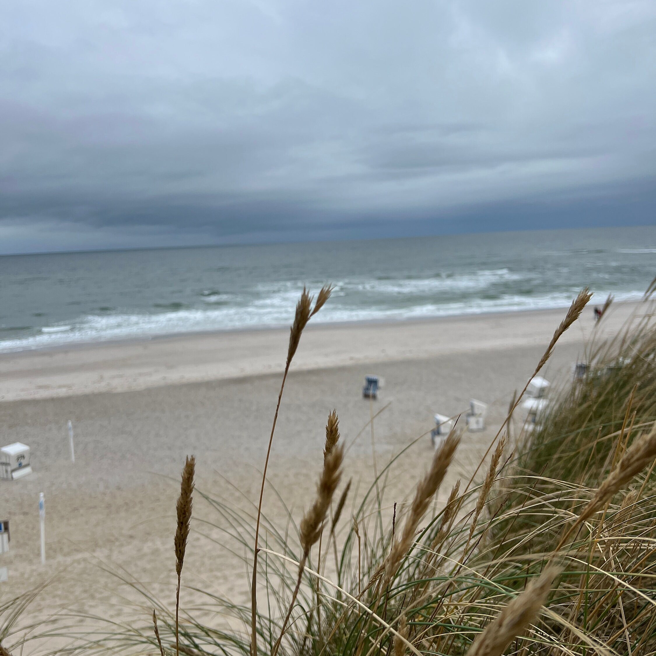 Holzschild mit SpruchKleines Haus am Meereinzigartige Etsy.de