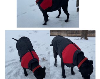 best large dog clothes